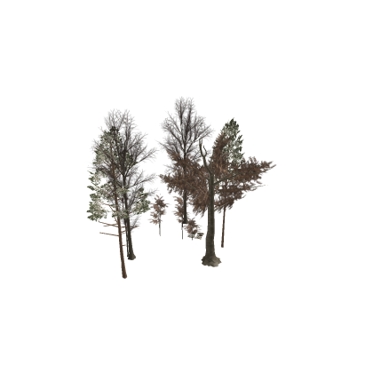 [Updated!] dead oak era tree pack! NPC City Hangou