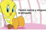 RECHAZADOS sociales xd