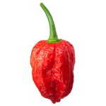 Spicy Zone