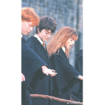 ⋆• Hogwarts •⋆