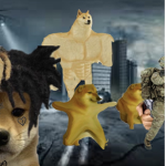 Bonus doges