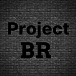 Project-BR