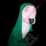 Walter says you all are god
