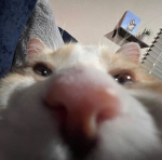 ...Hey?...