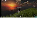 Night time day