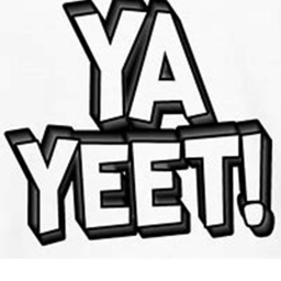 The Yeet Fan Club's Game!