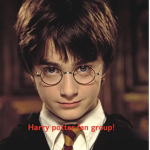 ｡ Harry Potter army ｡