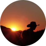 WILD roblox group
