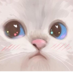 Meai1212