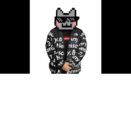 Drip nyan hang out