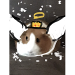 Love #### guinea pig because it will die soon ):