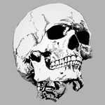 The Skullists