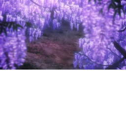 Training grounds