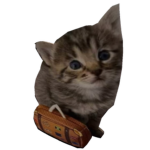 Acari