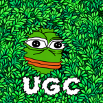 FUGAZY