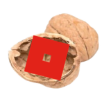 Roblox in а Nutshell