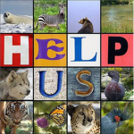✿ Save The Endangered Species ✿