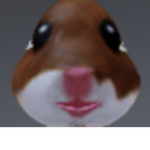 Addisonplayzroblox