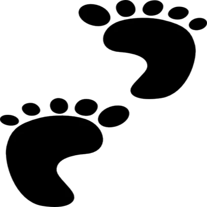 FootSteps 2.0