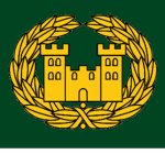 Kaіnuu Brigade