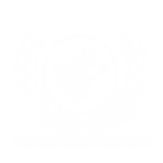 THE CHAOS SKY ROCKET ORGANIZATION