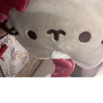 Santa clause pusheen