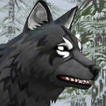Shadowing wolves