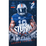 The Auburn group