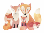 lil foxy gang