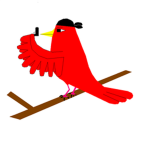 birds of war