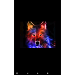 tripps Wolf team