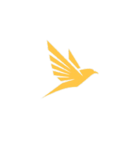 flareair.