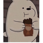 Angle Bear Squad