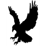 The Claw Hawk Empire