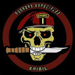 El Cartel Del Sur E.C.D.L.S