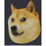 Skeleton Doge