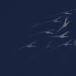 𝐩𝐞𝐫𝐬𝐨𝐧𝐚𝐥𝐢𝐭𝐲 