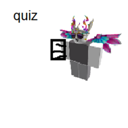 zz work shop quiz