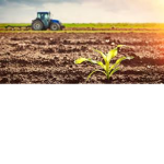 口ice Farmers