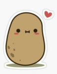 Potato 2244