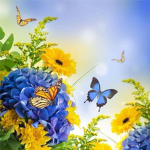 .~+ Butterflies Homestore +~.