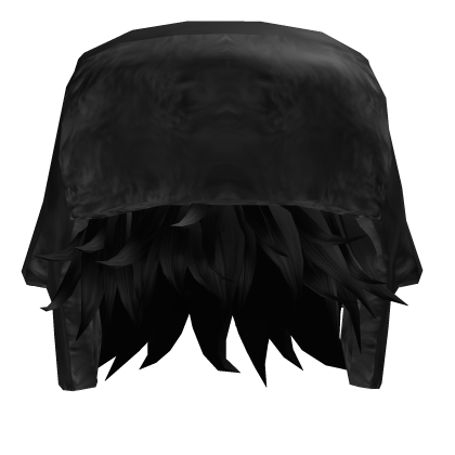Messy Hair with Ushanka Roblox item