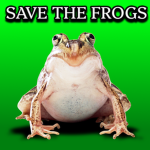 Saved FROGS