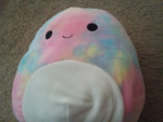 #Squishmallow_squad