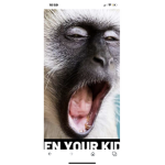 Monkeh!!