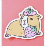 Coolkidcatrat