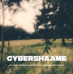 cybershaame
