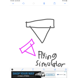 Flying Simulator