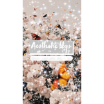 Xx.Aesthetic..bbys.xX