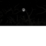 Night place